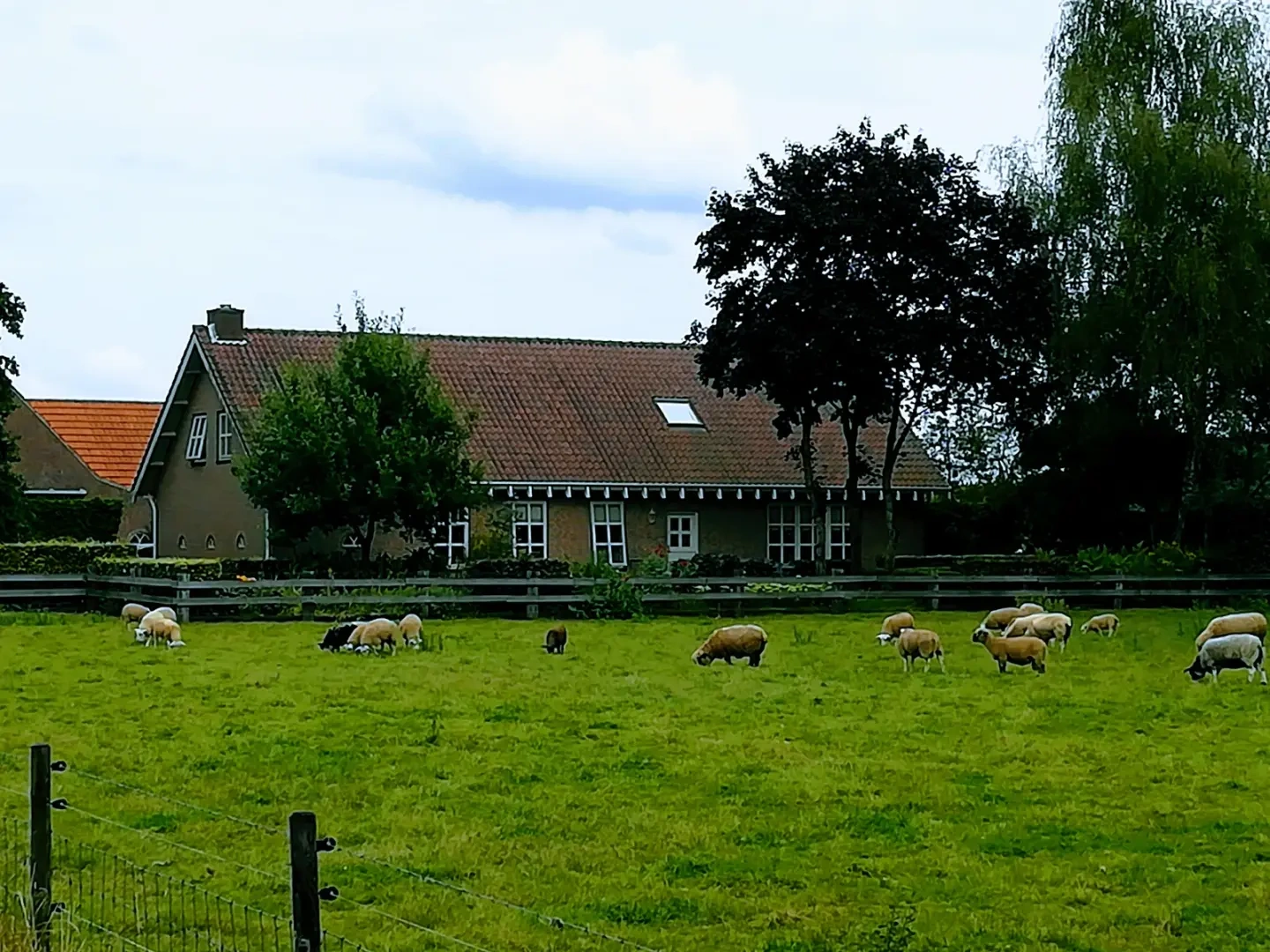 Fehmarn beaches, coast and visitor highlights near Puttgarden