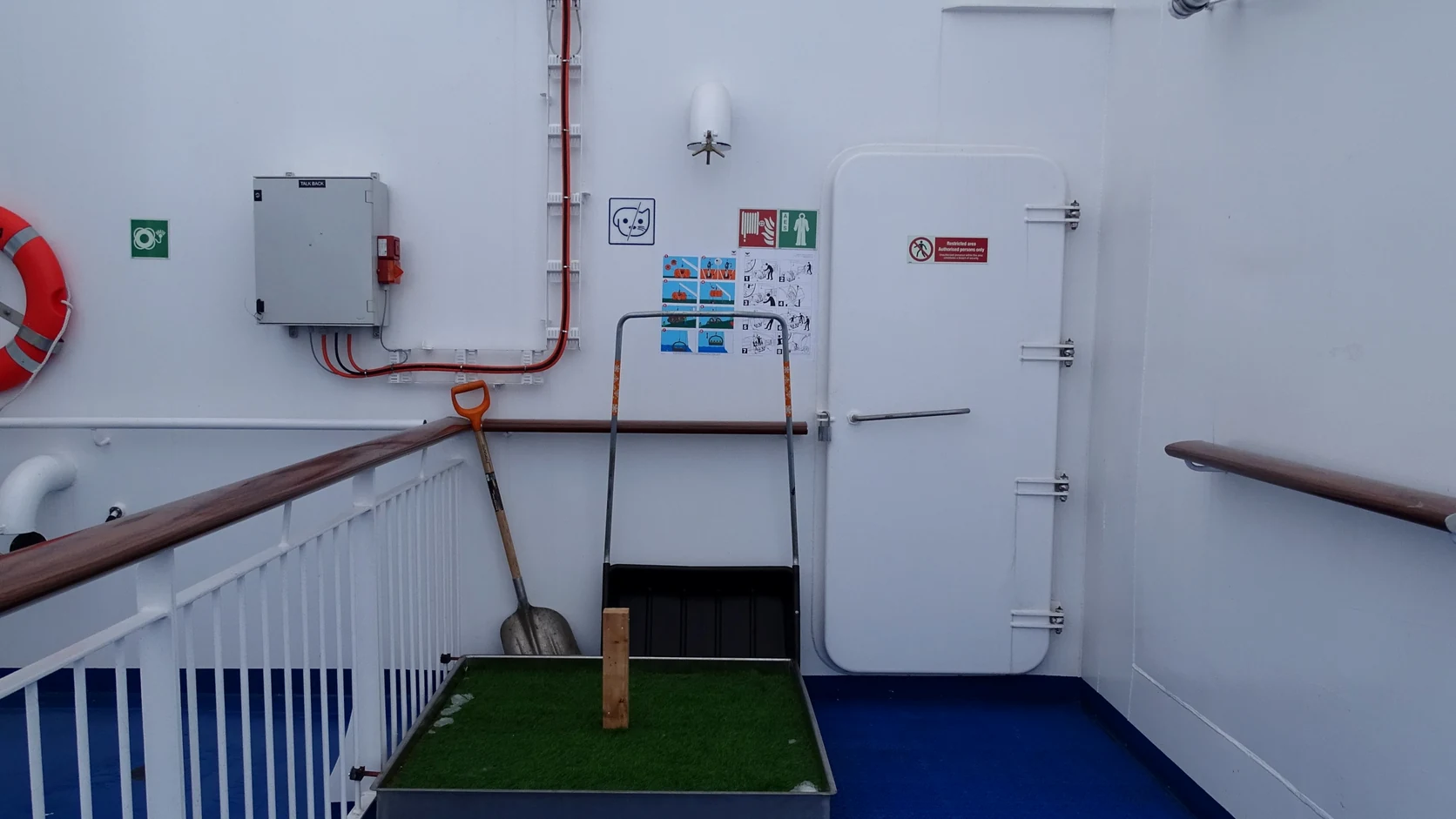 Dedicated pet area aboard Aurora Botnia